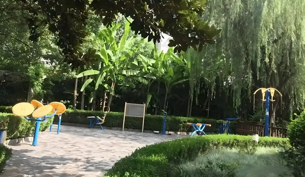 安知玉如意