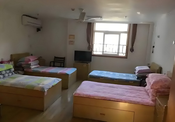 贵婢攻略